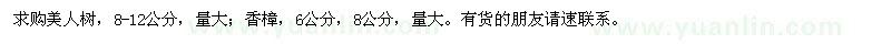 求購美人樹,香樟