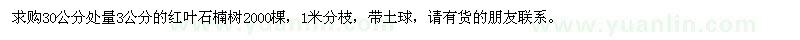 求購3公分的紅葉石楠樹