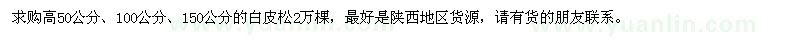 求購白皮松2萬棵