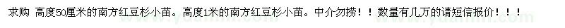 求購(gòu)紅豆杉
