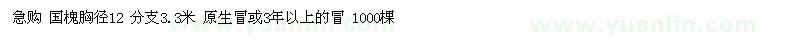 求購國槐胸徑12 分支3.3米