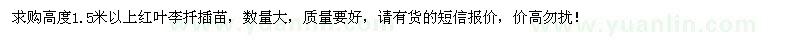 求購(gòu)高度1.5米以上紅葉李扦插苗