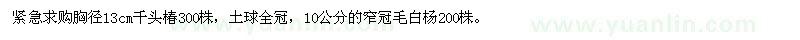 求購(gòu)緊急胸徑13cm千頭椿 10公分的窄冠毛白楊