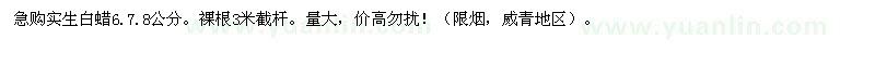 求購實生白蠟