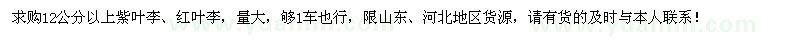求購(gòu)12公分以上紫葉李、紅葉李