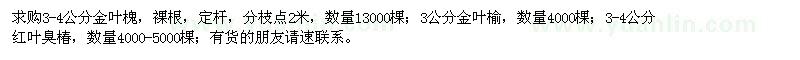 求購(gòu)金葉槐、金葉榆、紅葉臭椿