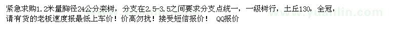 求購(gòu)胸徑24公分欒樹(shù)