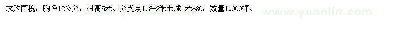 求購國槐 