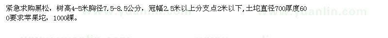 求購黑松 