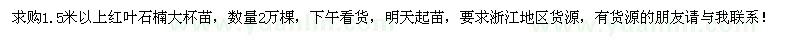 求購1.5米以上紅葉石楠大杯苗2萬棵