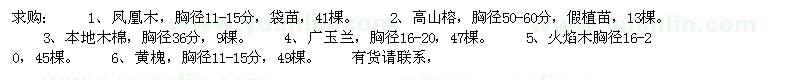 求購鳳凰木，高山榕，本地木棉，廣玉蘭，火焰木，黃槐