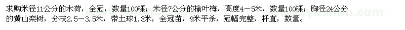 求購(gòu)木荷,榆葉梅,黃山欒樹(shù)
