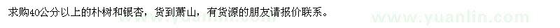 求購樸樹、銀杏