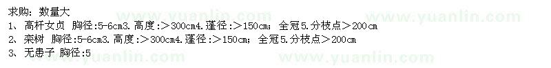 求購高桿女貞,欒樹,無患子,櫸樹等苗木