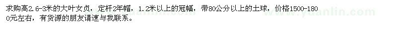 求購(gòu)高2.6-3米的大葉女貞
