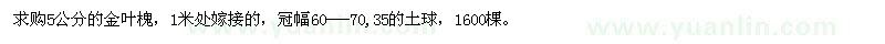 求購5公分的金葉槐