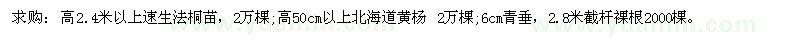 求購(gòu)高2.4米以上速生法桐苗