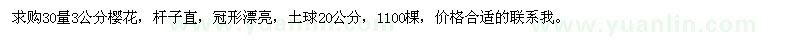 求購30量3公分櫻花
