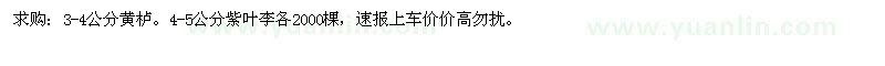 求購3-4公分黃櫨
