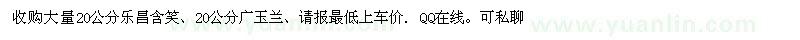 求購20公分樂昌含笑、20公分廣玉蘭 