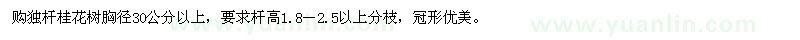 求購(gòu)獨(dú)桿桂花樹胸徑30公分以上 
