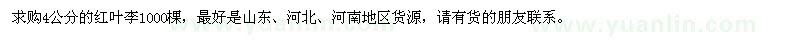 求購4公分的紅葉李1000棵
