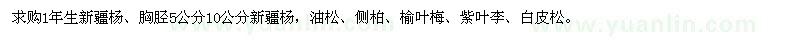 求購新疆楊、油松、側(cè)柏、榆葉梅、紫葉李、白皮松
