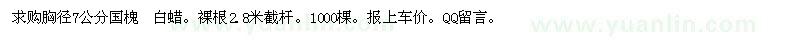 求購胸徑7公分國槐 白蠟