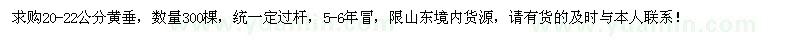 求購(gòu)20-22公分黃垂300棵