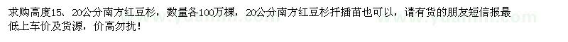 求購高15、20公分南方紅豆杉各100萬棵
