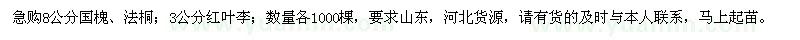 求購(gòu)國(guó)槐、法桐、紅葉李