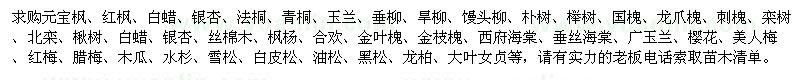 求購(gòu)元寶楓、大葉女貞、白蠟、銀杏、法桐、青桐、玉蘭、垂柳、櫻花