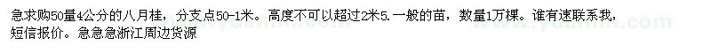 求購50量4公分的八月桂 