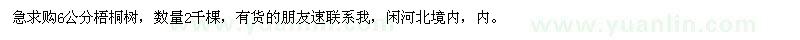 求購6公分梧桐樹