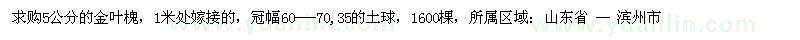 求購5公分的金葉槐