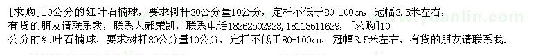 求購10公分的紅葉石楠球