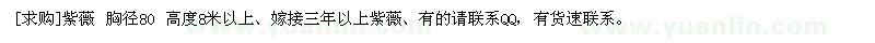 求購紫薇 胸徑80 高度8米以上、嫁接三年以上紫薇