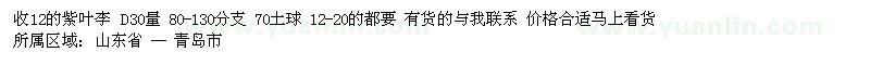 求購12的紫葉李