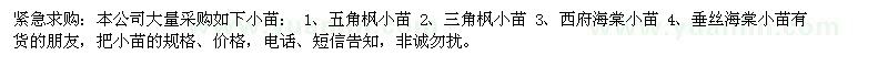 求購五角楓、三角楓、西府（垂絲）海棠小苗