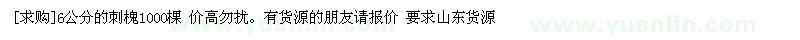 求購6公分的刺槐1000棵