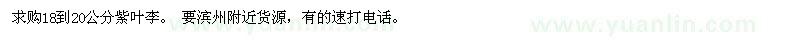 求購(gòu)18到20公分紫葉李