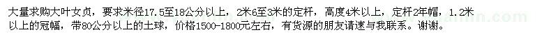 求購大葉女貞