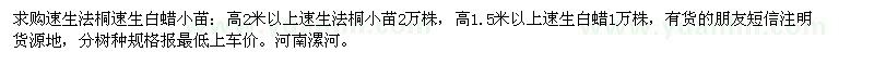 求購速生法桐速生白蠟小苗、高2米以上速生法桐小苗