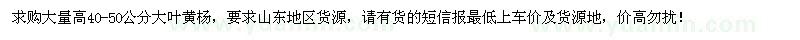 求購(gòu)大量高40-50公分大葉黃楊