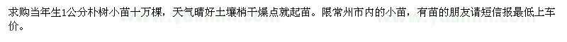 求購當年生1公分樸樹(shù)小苗