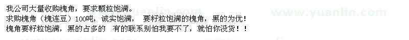 求購槐角