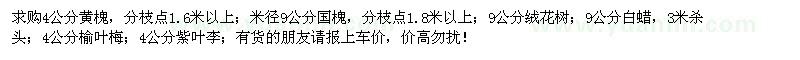 求購黃槐、國槐、絨花樹、白蠟、榆葉梅、紫葉李