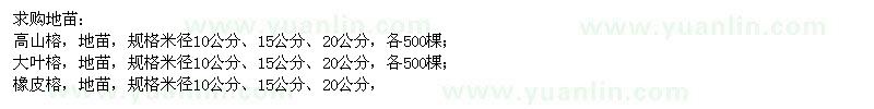 求購(gòu)高山榕,大葉榕,橡皮榕