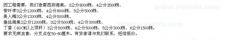 求購西府海棠、紫葉李、美人梅、垂絲海棠、丁香