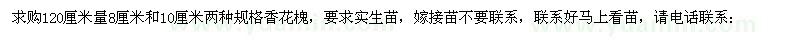 求購120厘米量8厘米和10厘米兩種規(guī)格香花槐 